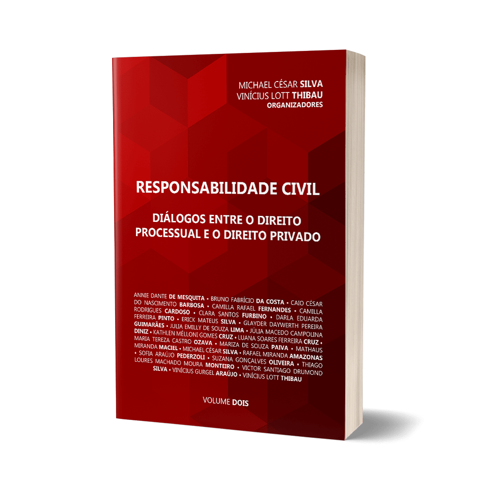 Responsabilidade Civil - diálogos entre o direito processual e o direito privado - volume dois